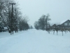 picture-061