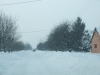 picture-074