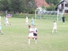 Picture 055