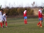 Prvenstvena utakmica FK \'\'Panonija\'\' - FK \'\'Lipar, Lalić 03.11.2012. god.
